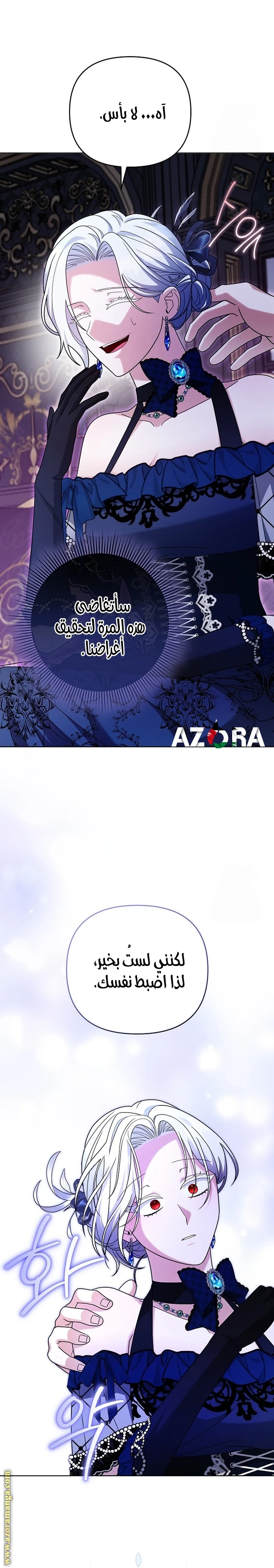 الصفحة 13