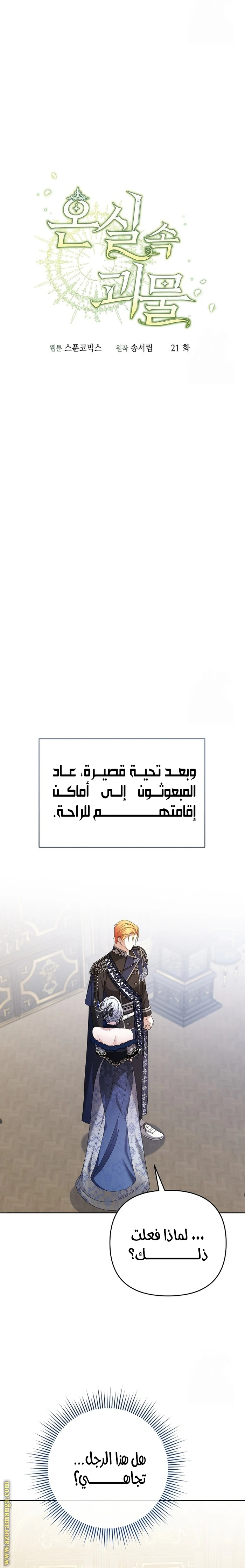 الصفحة 16