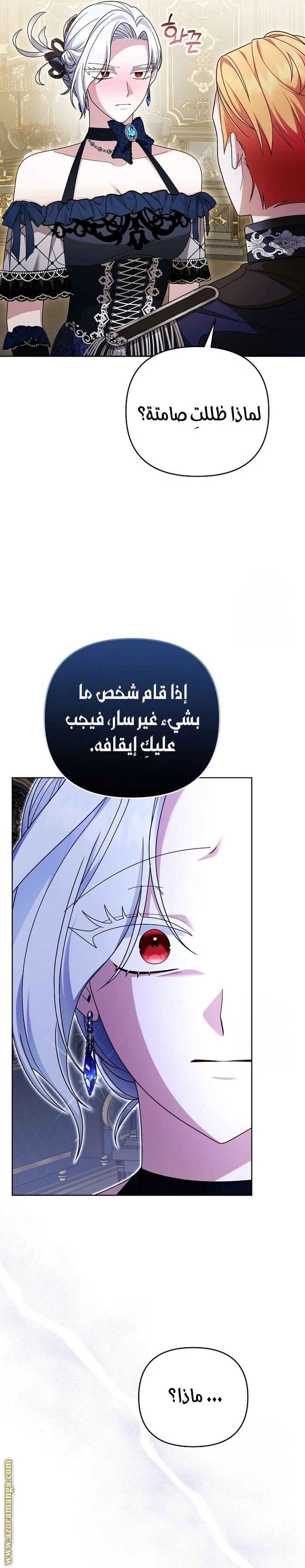 الصفحة 17