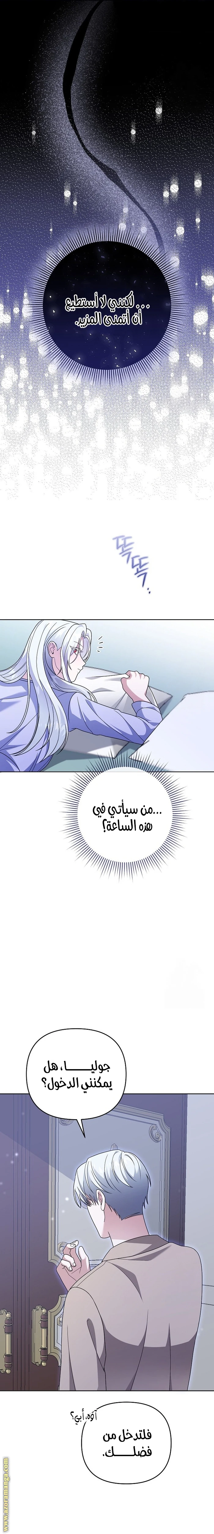 الصفحة 26