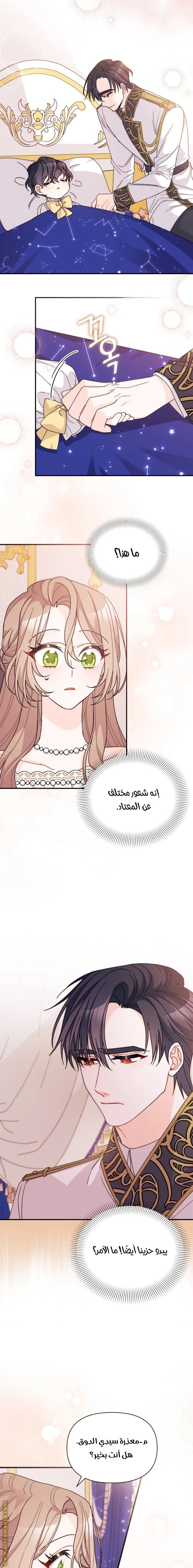 الصفحة 5