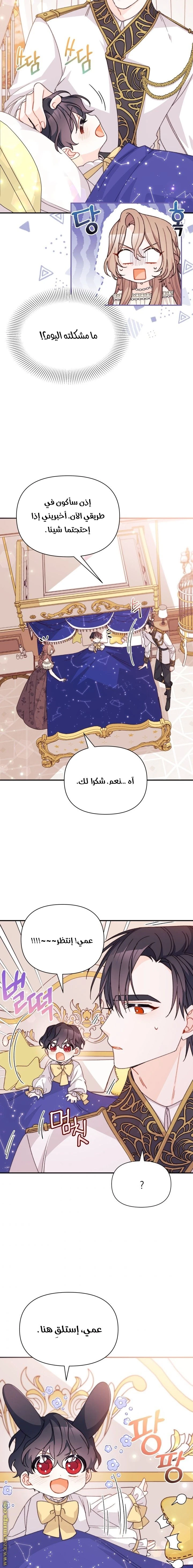 الصفحة 12