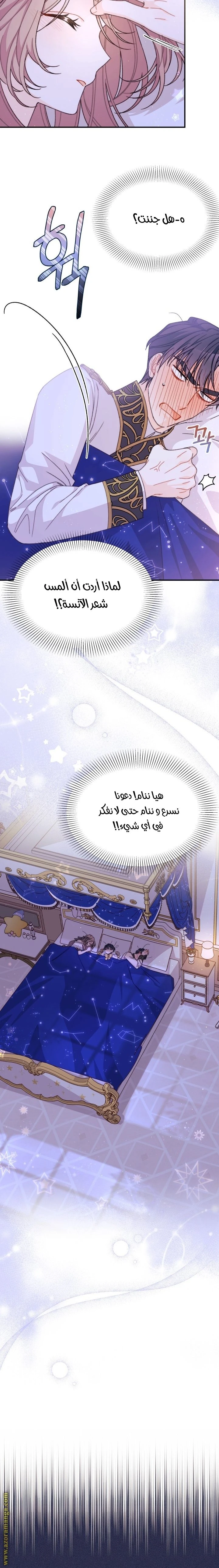 الصفحة 17