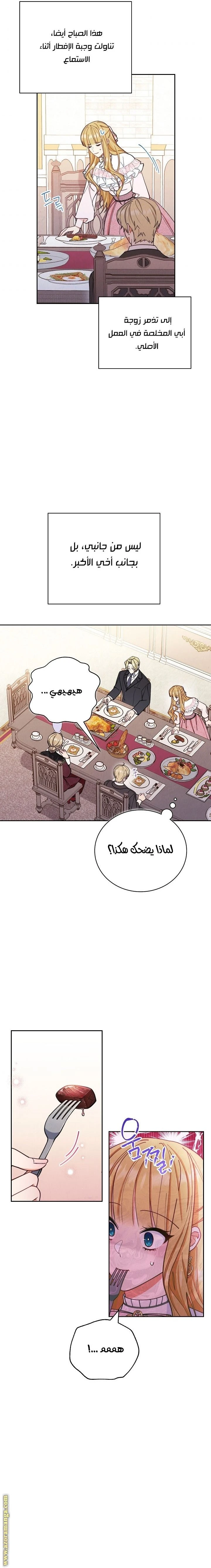 الصفحة 16