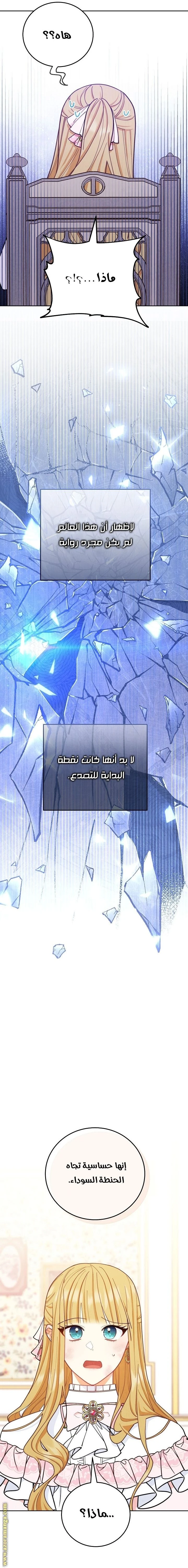 الصفحة 21