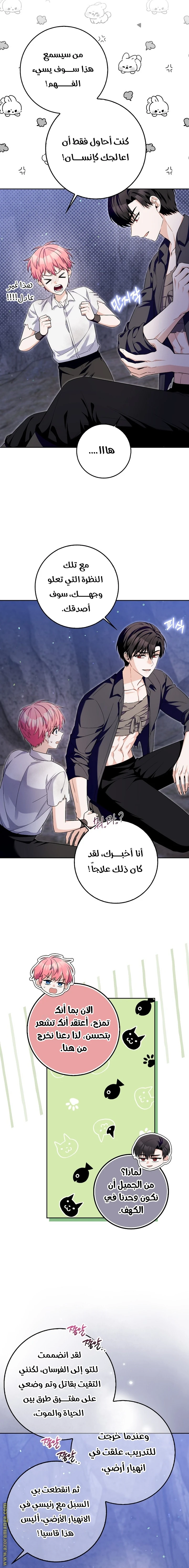 الصفحة 8