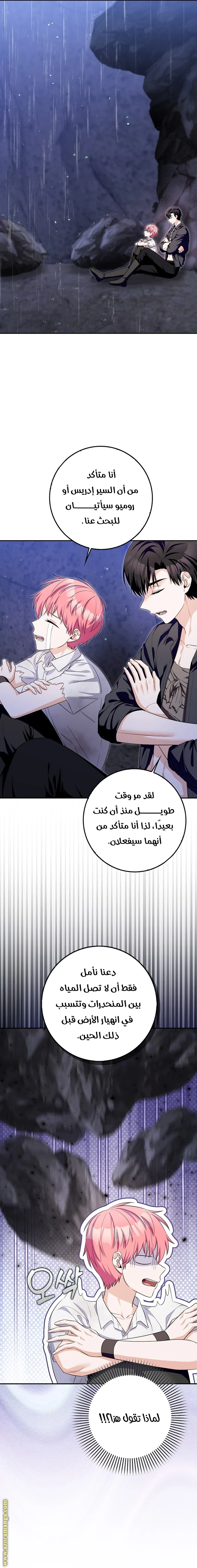 الصفحة 11