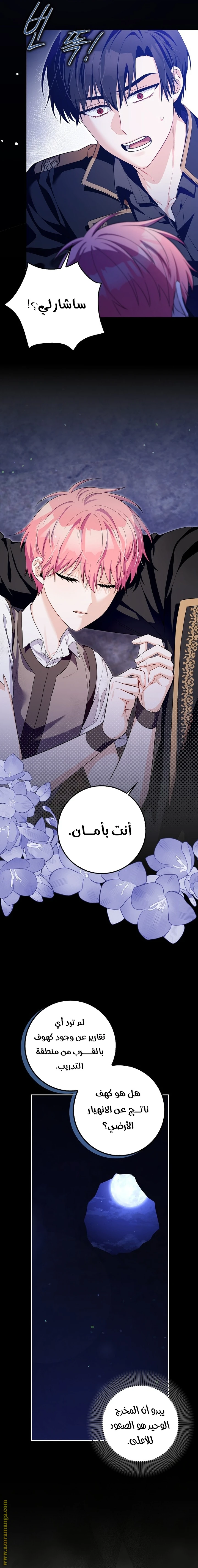 الصفحة 13