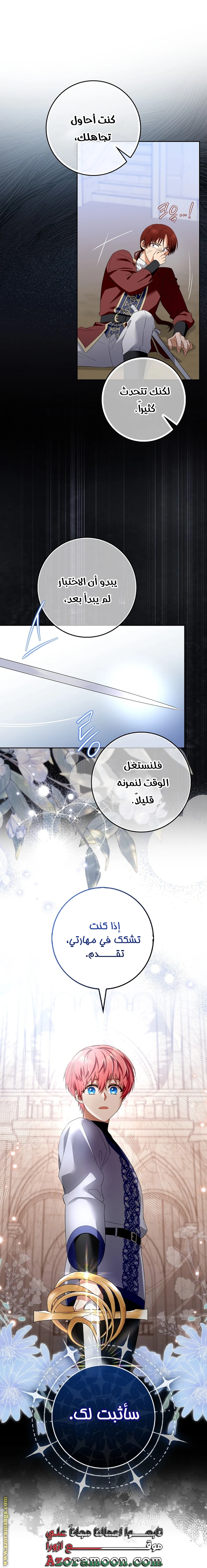 الصفحة 17