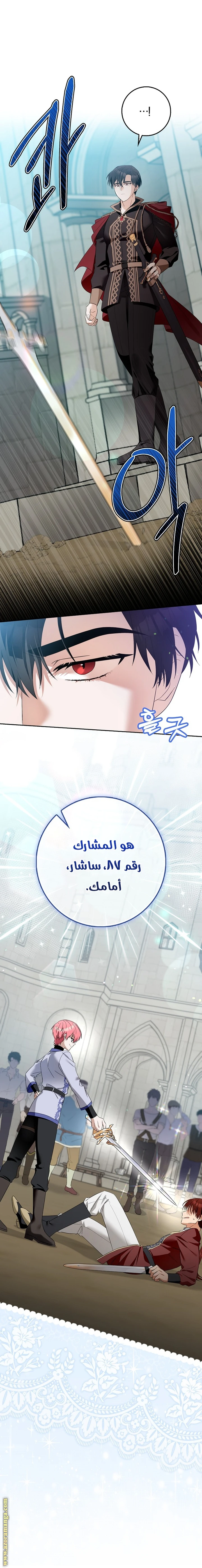 الصفحة 19