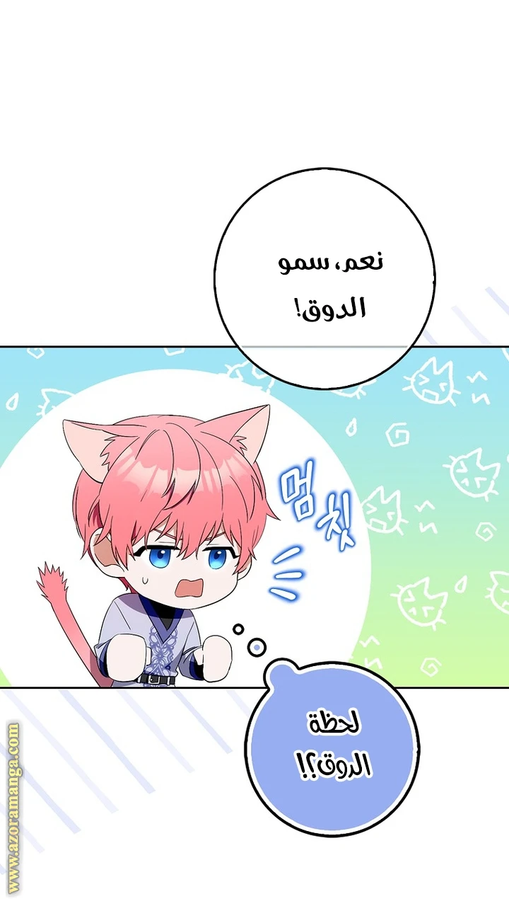الصفحة 24