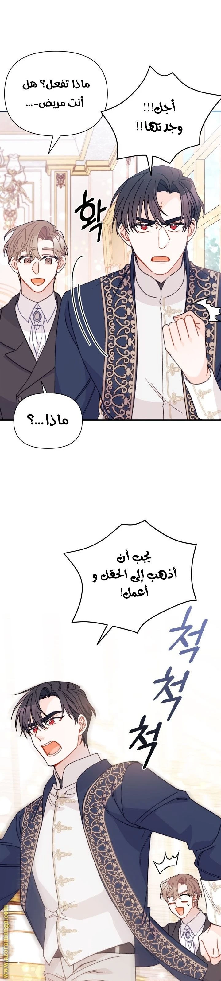 الصفحة 14