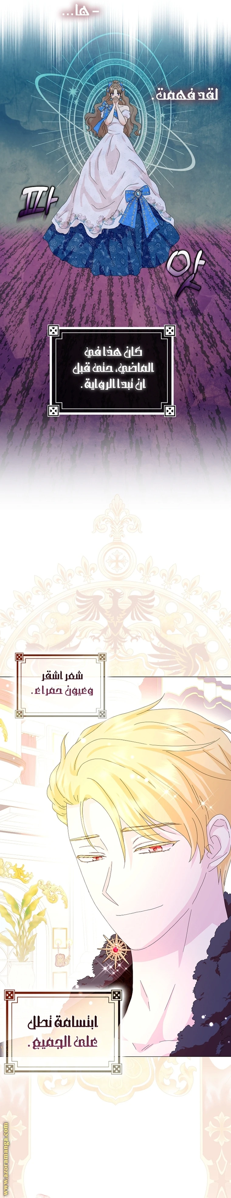الصفحة 17