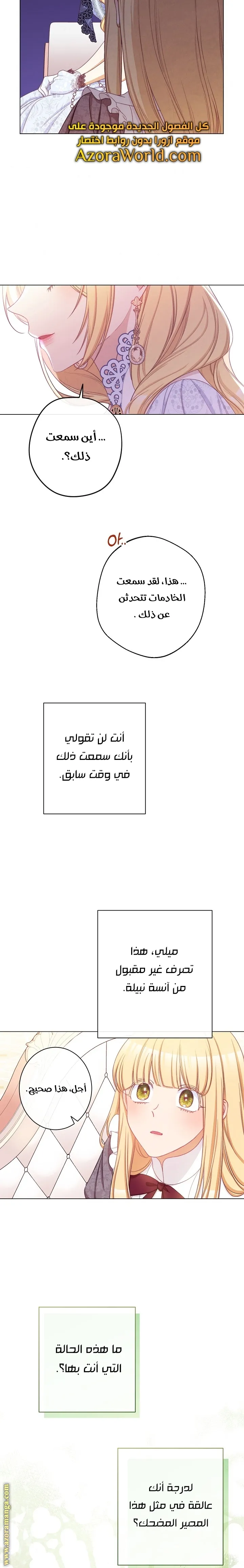 الصفحة 17