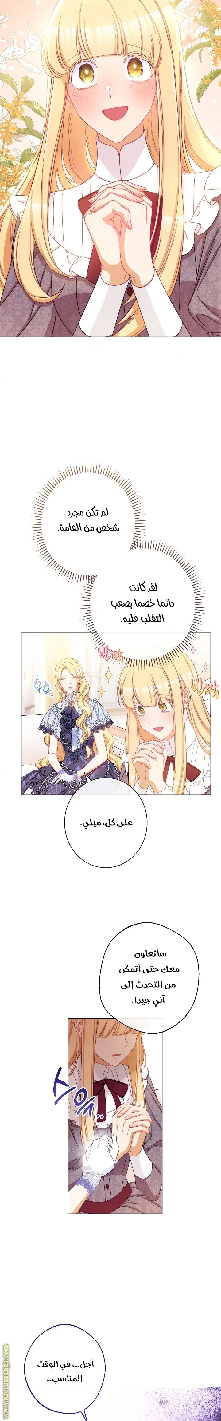 الصفحة 19