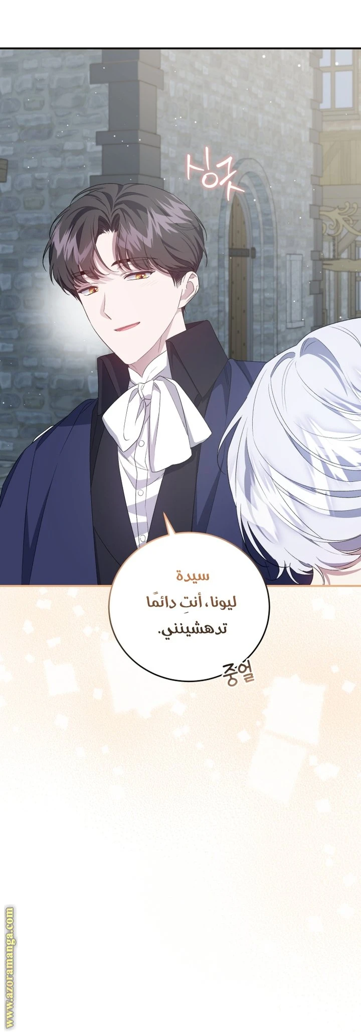 الصفحة 14