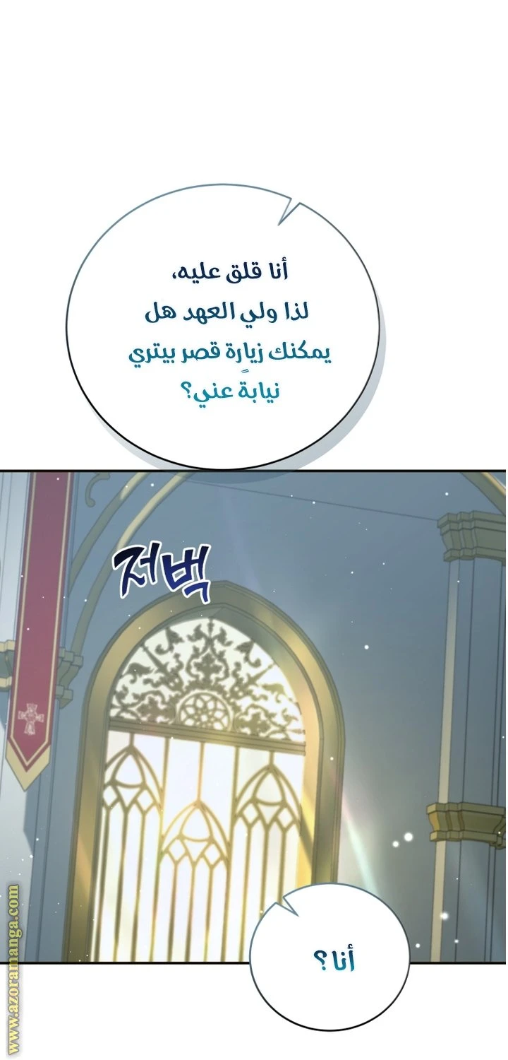 الصفحة 27