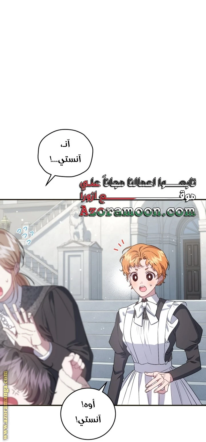 الصفحة 41