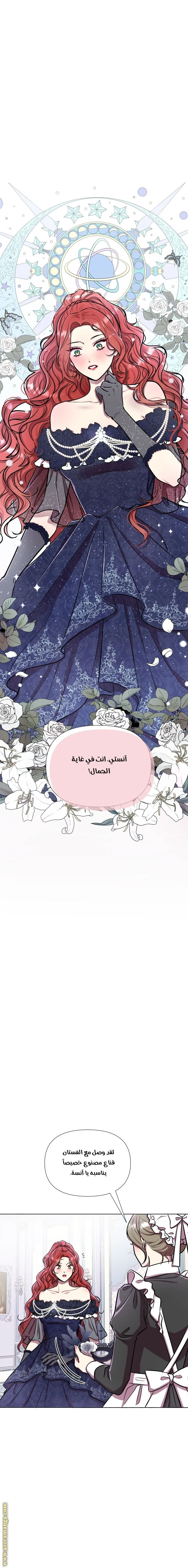 الصفحة 14