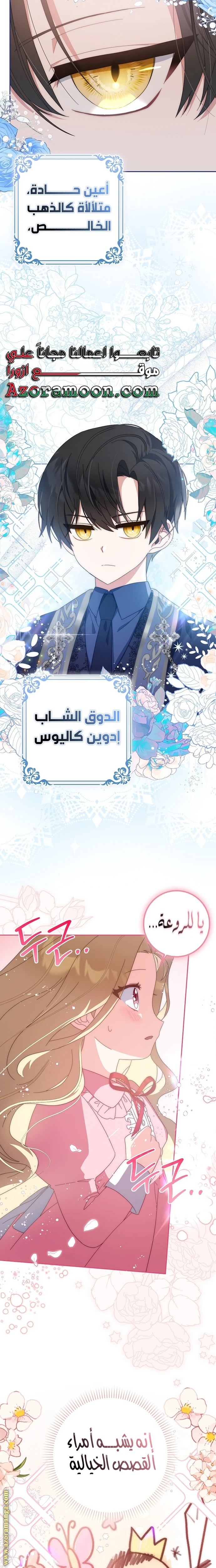 الصفحة 13