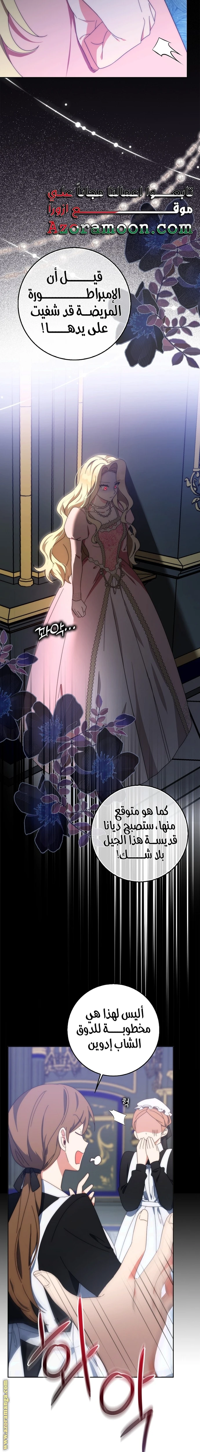 الصفحة 17
