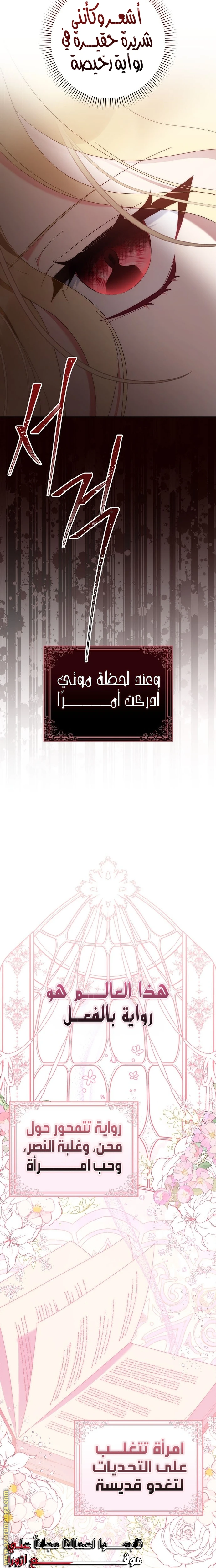الصفحة 27