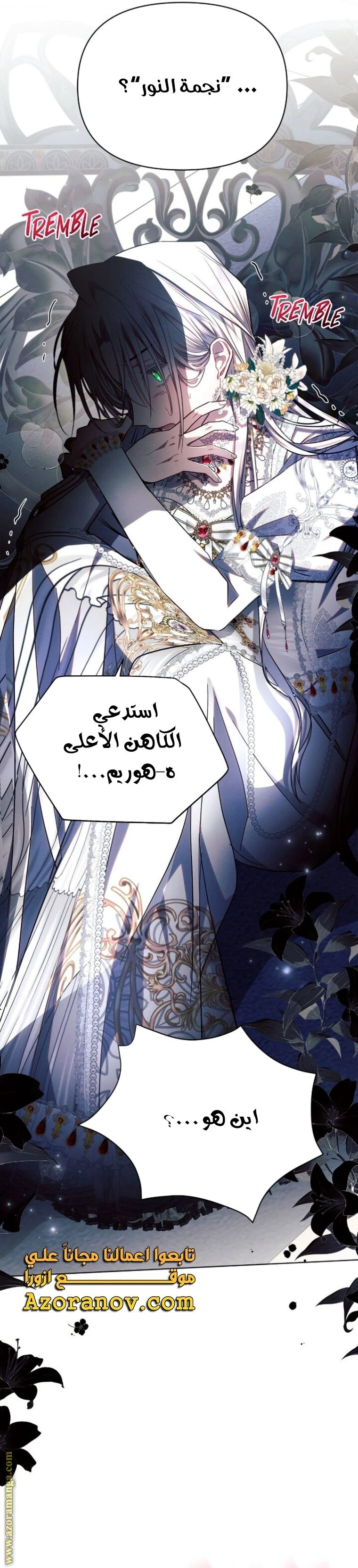 الصفحة 19
