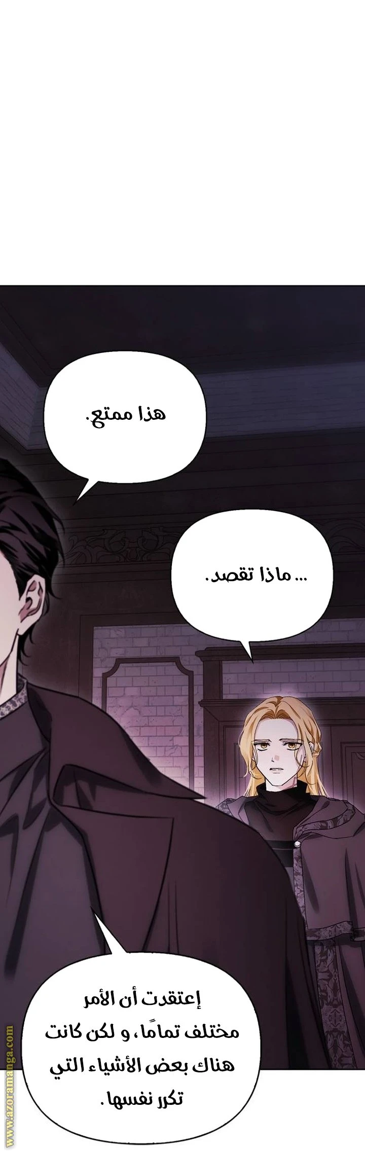 الصفحة 17