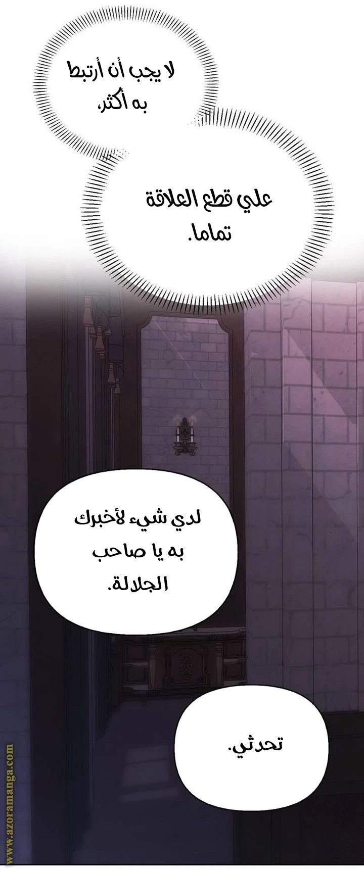 الصفحة 25