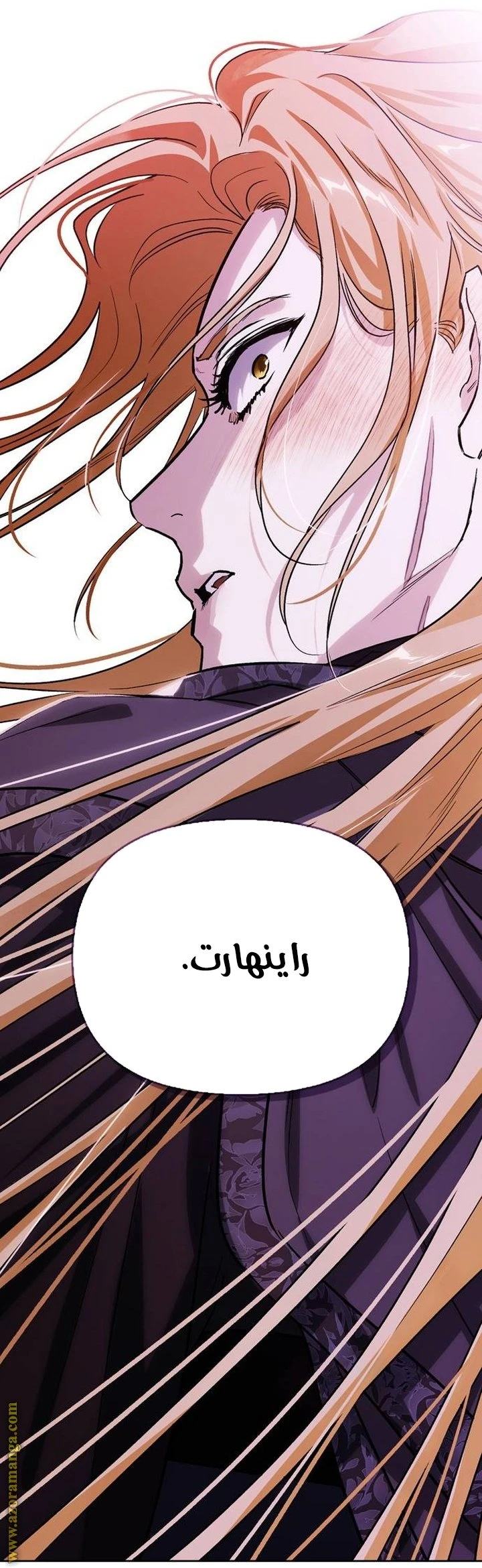 الصفحة 42