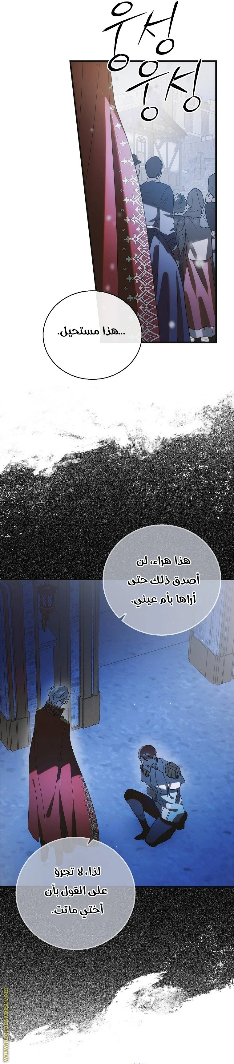 الصفحة 26