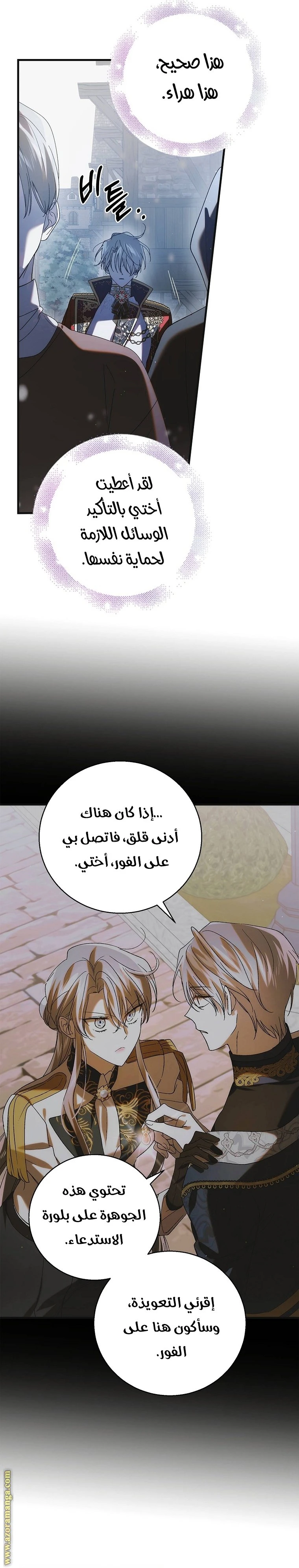الصفحة 27