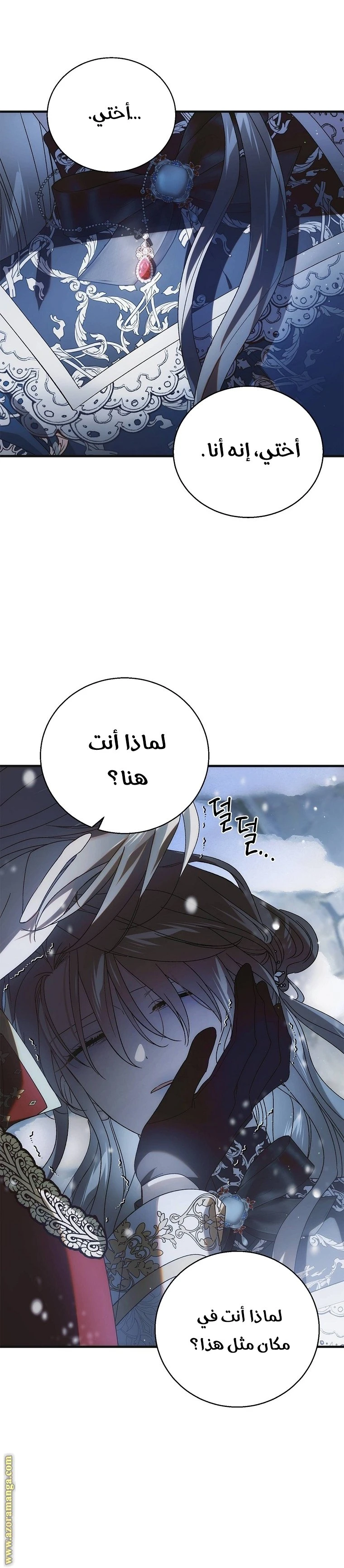 الصفحة 29