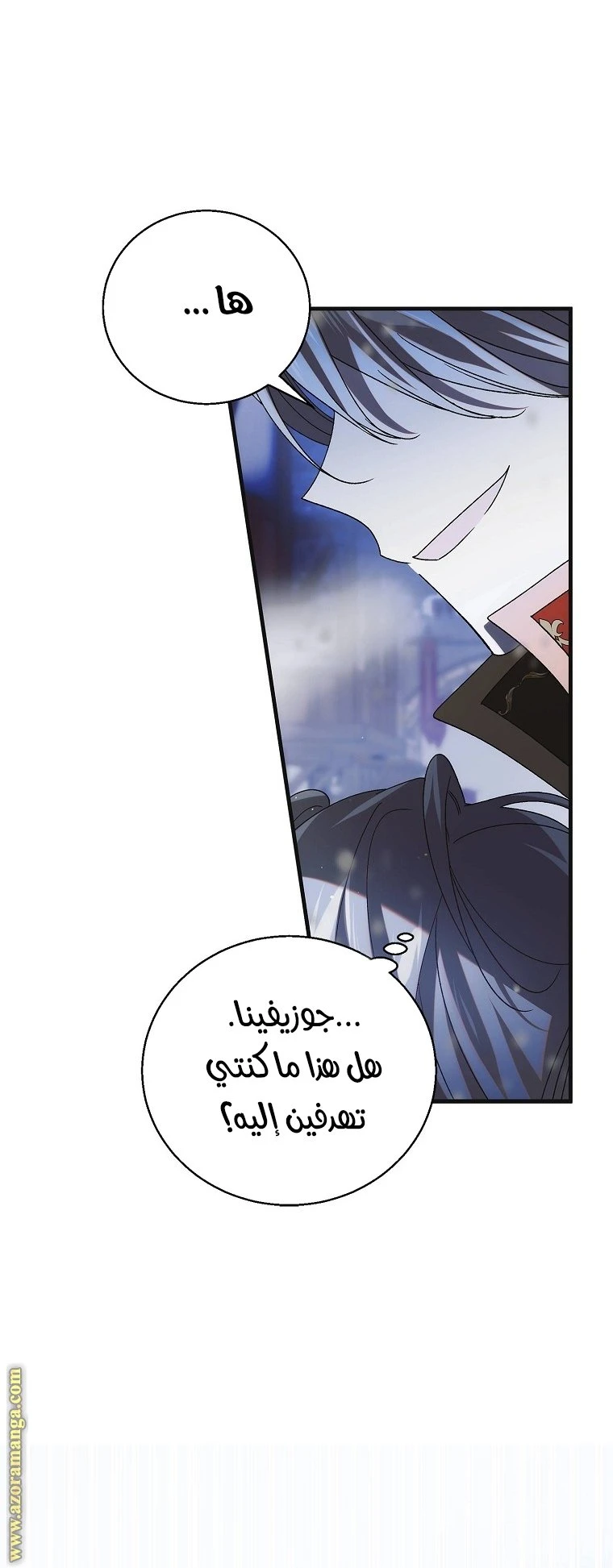 الصفحة 39
