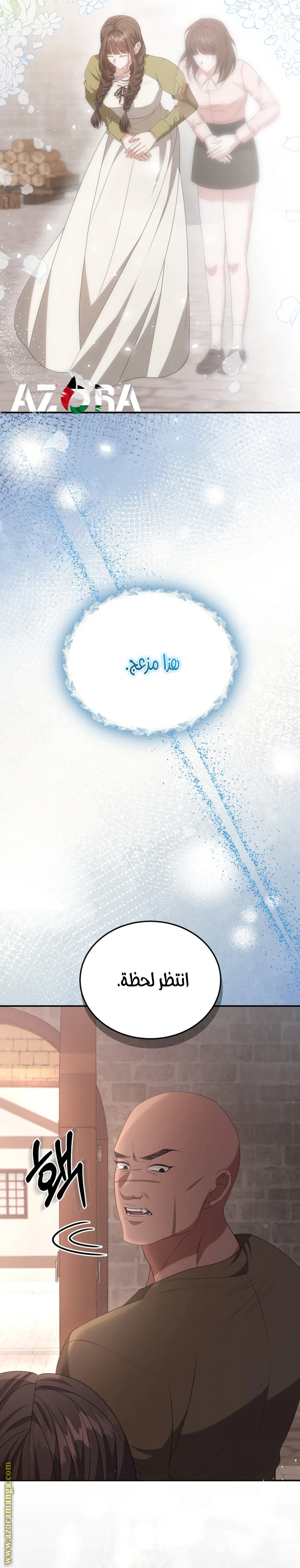 الصفحة 13