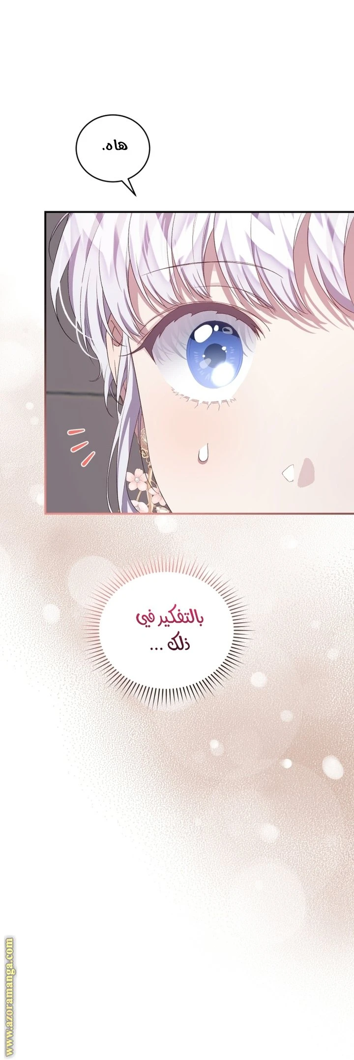 الصفحة 28