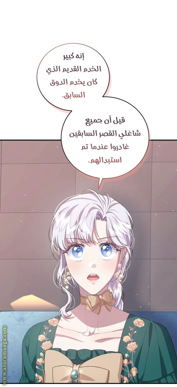 الصفحة 30