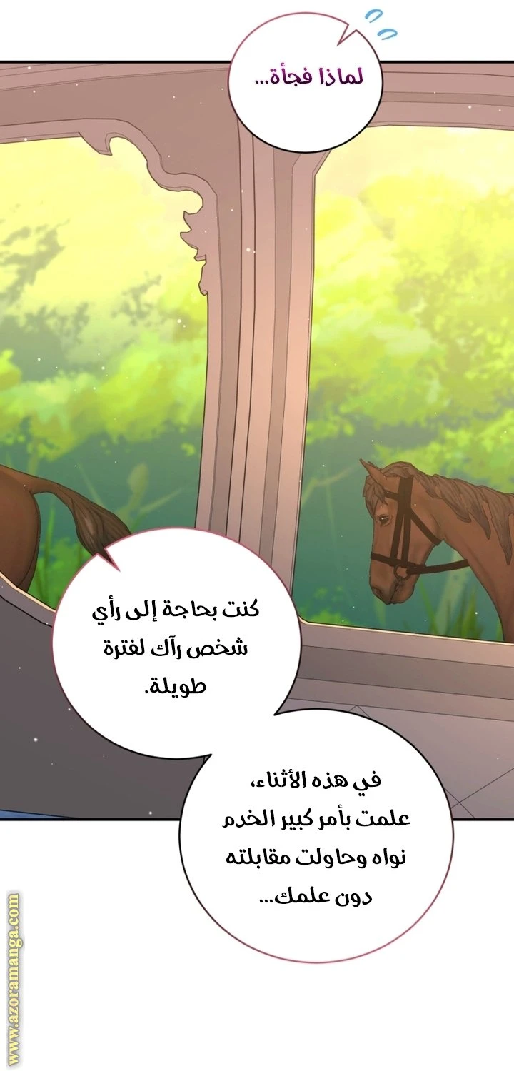 الصفحة 36
