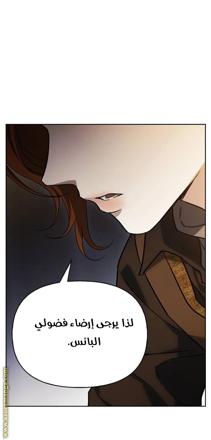 الصفحة 43