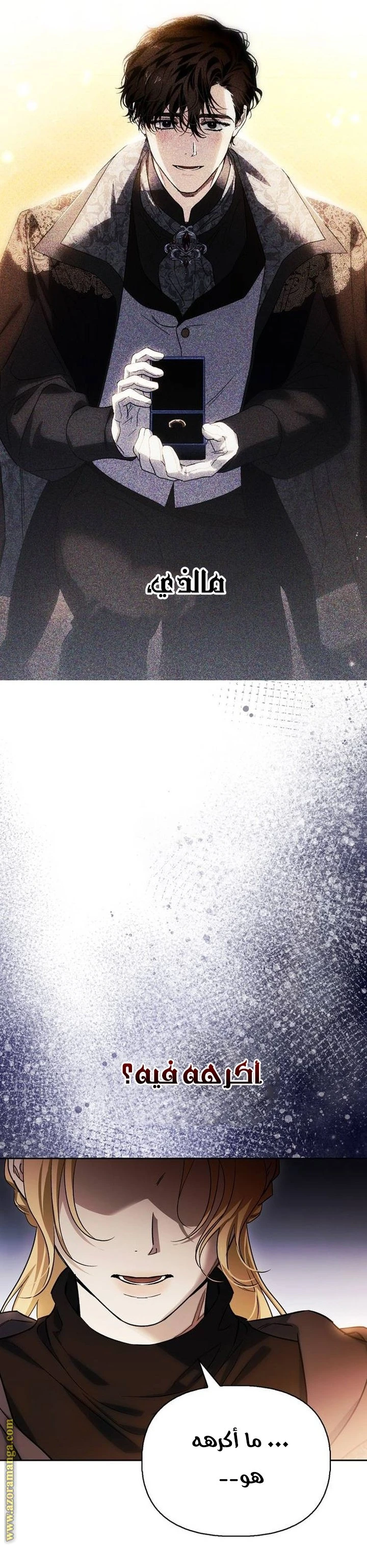 الصفحة 48
