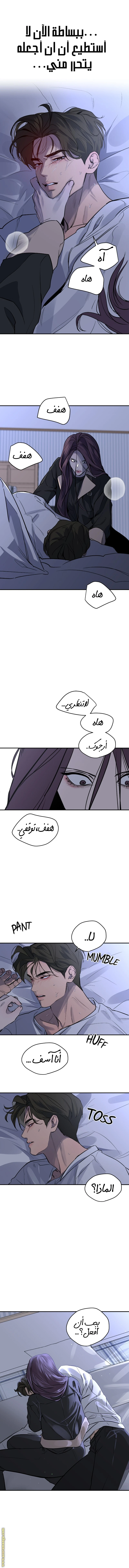 الصفحة 11