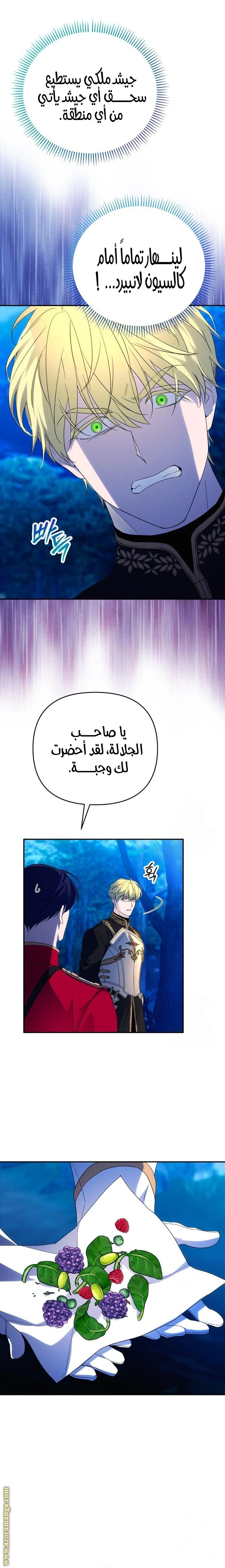 الصفحة 14