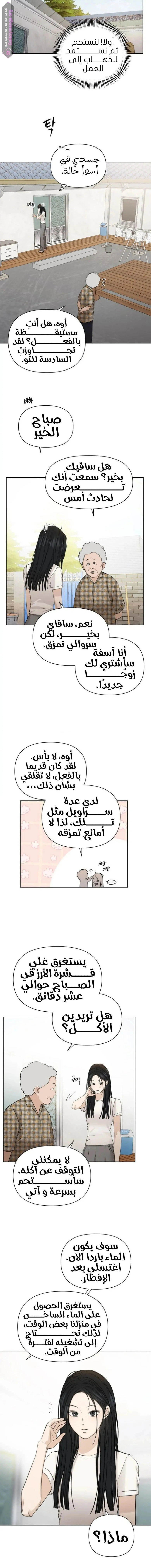 الصفحة 11