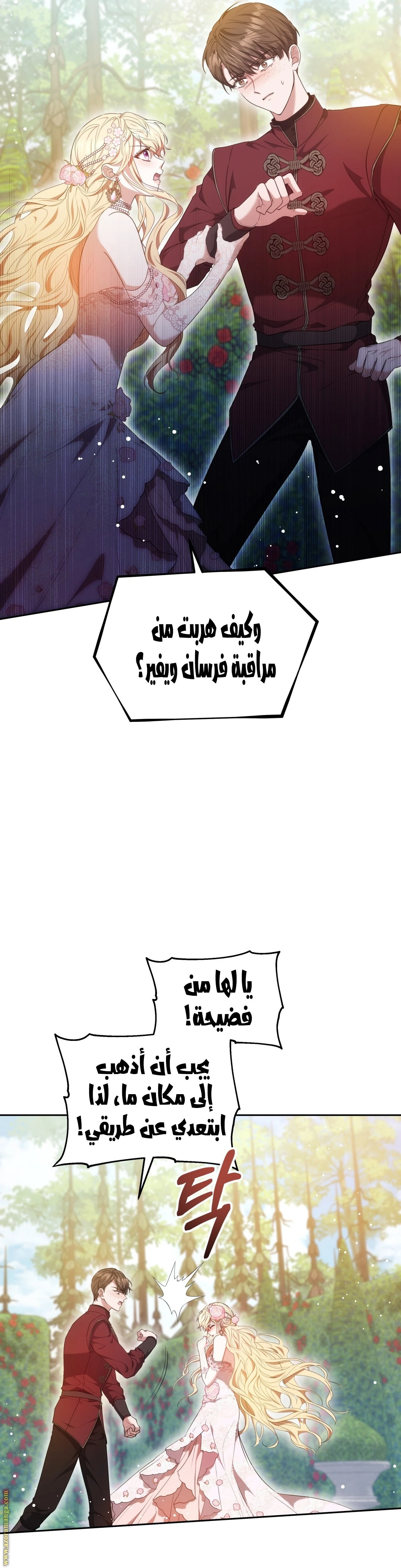 الصفحة 5