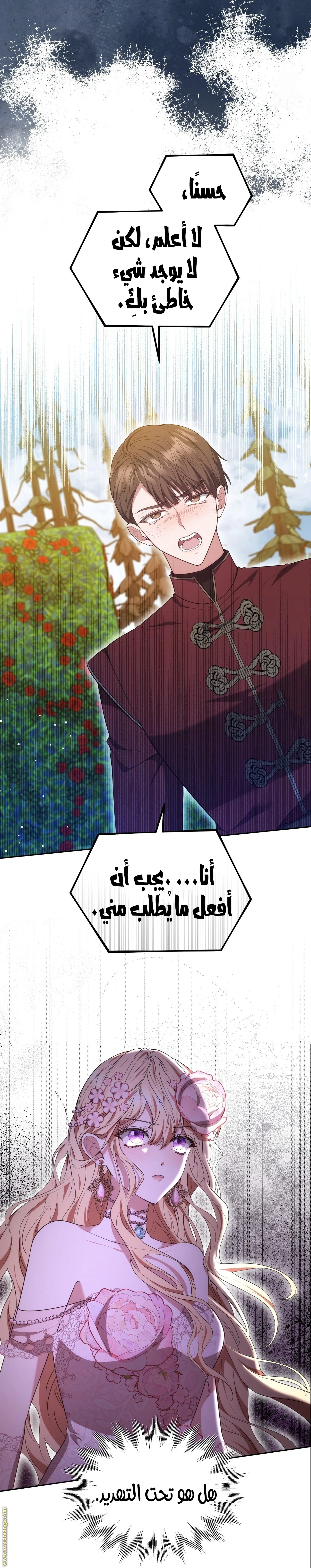 الصفحة 13