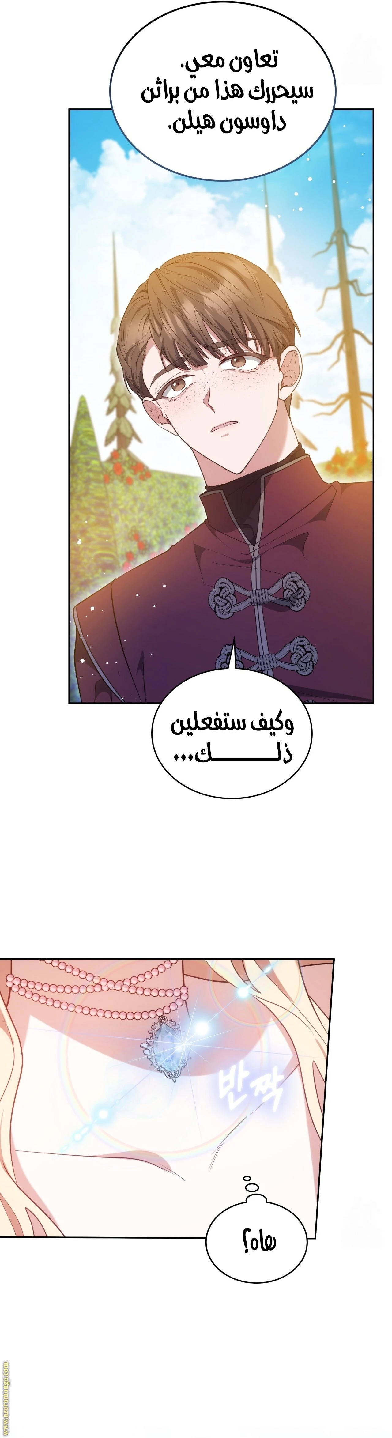 الصفحة 19
