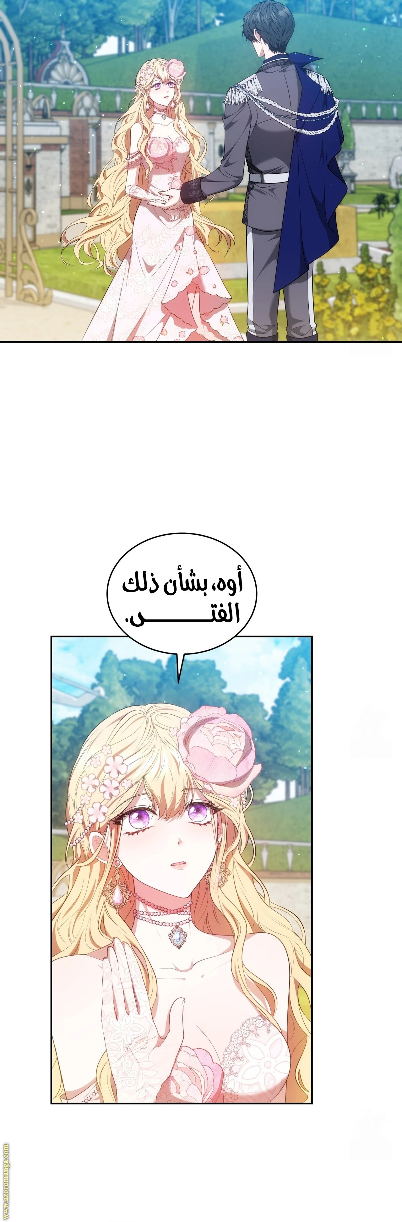 الصفحة 27