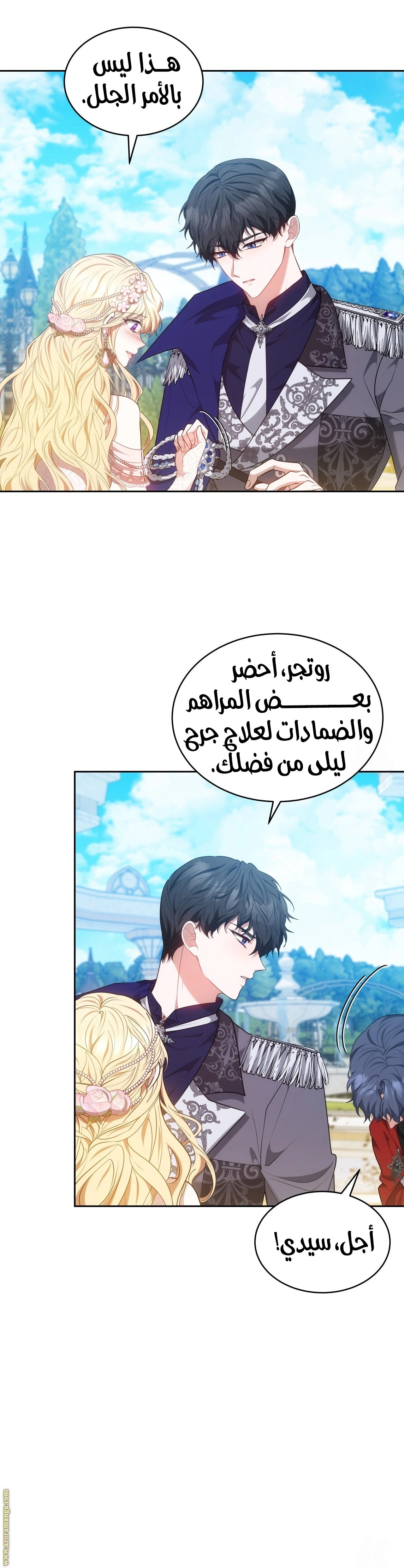 الصفحة 29