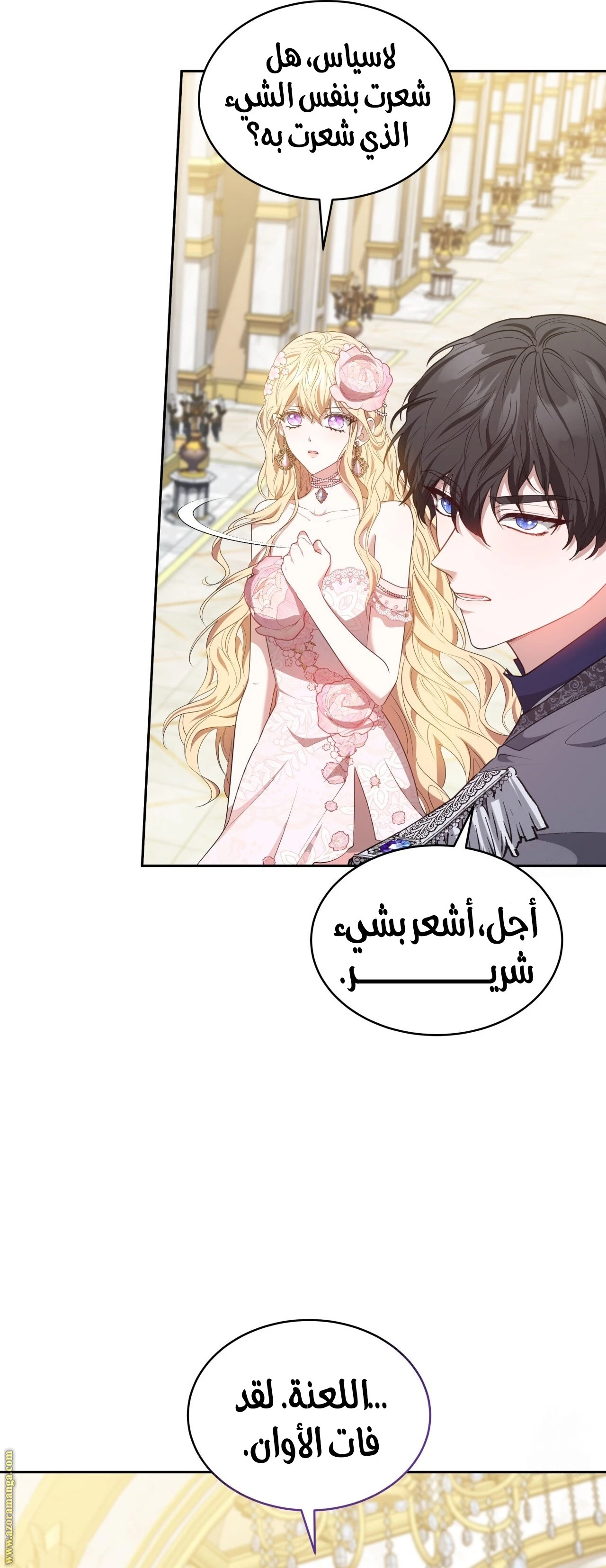 الصفحة 42