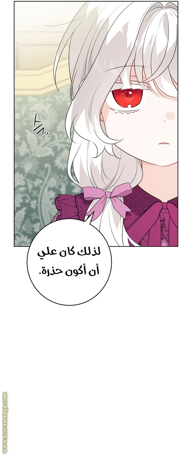 الصفحة 24